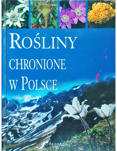 Rośliny chronione w Polsce Agnieszka...