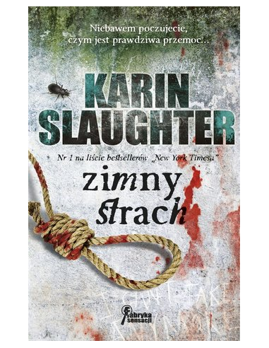 Zimny strach Karin Slaughter