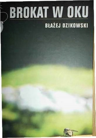 Brokat w oku Dzikowski