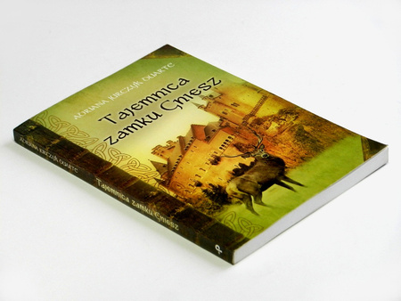 Tajemnica zamku Gniesz
