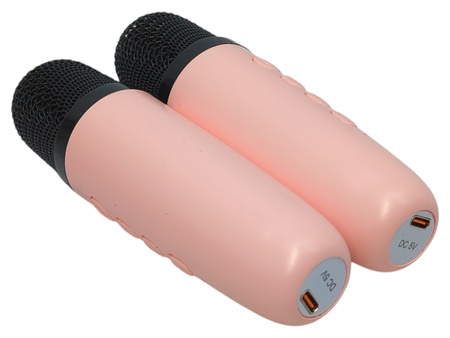 Mini Zestaw Do Karaoke K29