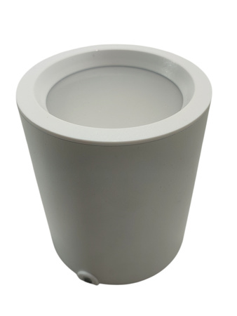 Plafon LED GoodHome Ipsoot 800 lm IP44 2700/4000 K biały