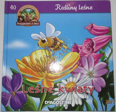 Rośliny leśne Leśne kwiaty Praca zbiorowa
