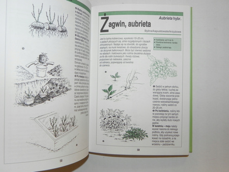 Jak zapewnić wielokrotne kwitnienie roślin