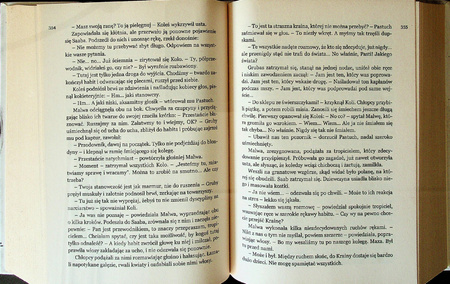 Woodward. Prawdziwa historia Maxa Woodwarda Jacek Tomasz Roczniak