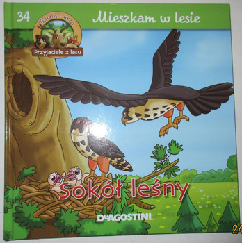 Mieszkam w lesie Sokół leśny Praca zbiorowa