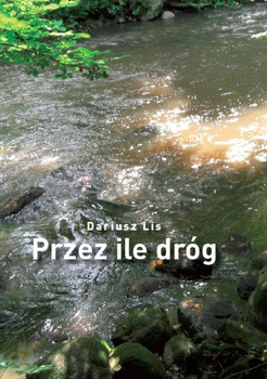 Przez ile dróg Dariusz Lis