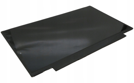 Matryca INNOLUX N116BGE-E42 11,6" 1366x768px