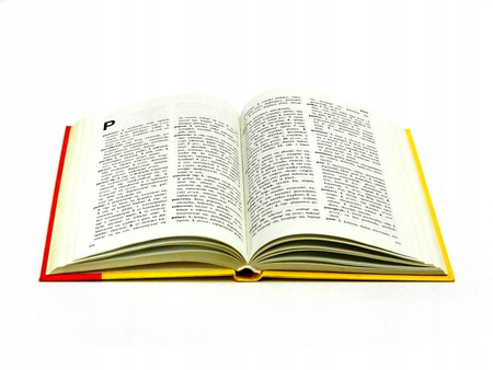 Szkolny słownik synonimów Witold Cienkowski