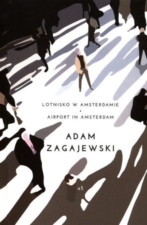 Lotnisko w Amsterdamie. Airport in Amsterdam
