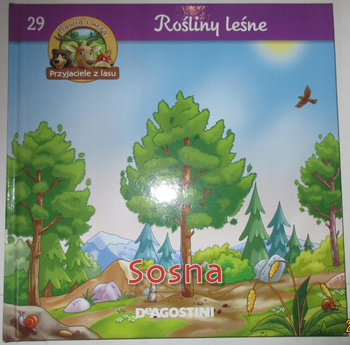 Rośliny leśne Sosna Praca zbiorowa