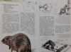 Encyklopedia zwierząt SSAKI Frączek