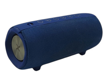 Głośnik mobilny XMUSIC BTS800B Niebieski Bluetooth AUX Radio FM