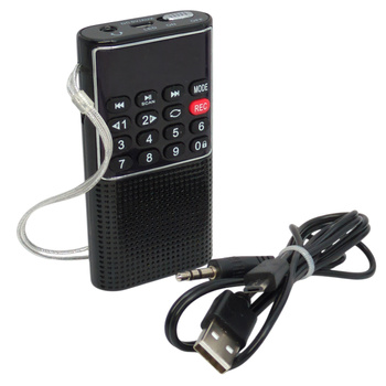 Mini radio Prunus J-328 FM AUX SD/TF dyktafon akumulator