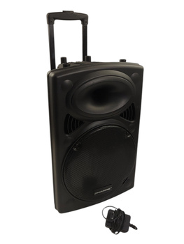 Głośniki Dynasonic Dynapro 12 BT USB FM MicroSD 700W