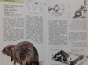 Encyklopedia zwierząt SSAKI Frączek