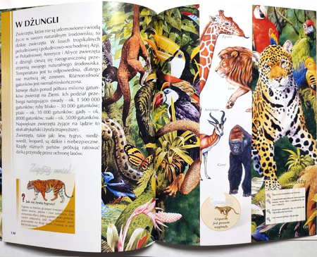 Encyklopedia dla dzieci Teraz już wiem Praca zbiorowa