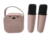 Mini Zestaw Do Karaoke 2szt Mikrofony + GŁOŚNIK BEZPRZEWODOWY DLA DZIECI