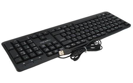 Klawiatura membranowa USB Natec Trout Slim Czarny