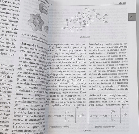 Encyklopedyczny słownik szkolny chemia P. Chmielewski ,A. Jezierski