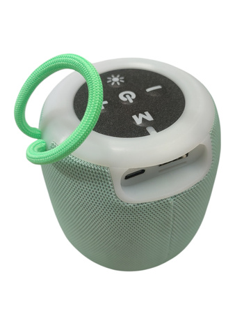 PUSHEEN THE CAT Głośnik Bluetooth z podświetleniem RGB 5 W miętowy