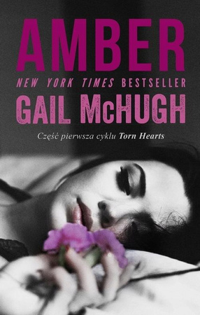 KSIĄŻKA AMBER GAIL MCHUGH