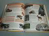 Chcę Wiedzieć Wszystko - Ilustrowana Encyklopedia Praca zbiorowa