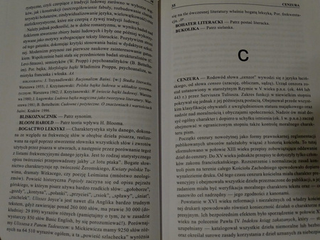 Słownik wiedzy o literaturze Praca zbiorowa