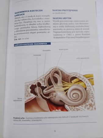 WIELKA ENCYKLOPEDIA MEDYCZNA TOM 17 i 18 Praca zbiorowa