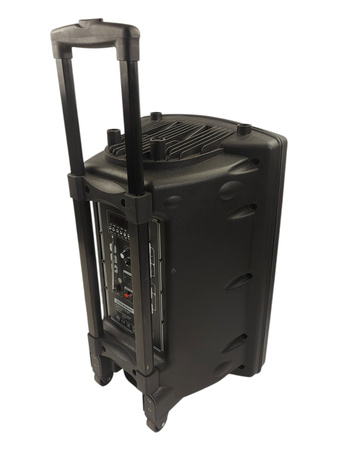 Głośniki Dynasonic Dynapro 12 BT USB FM MicroSD 700W