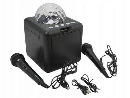 Głośnik przenośny Hykker BKSD-110 czarny 10W