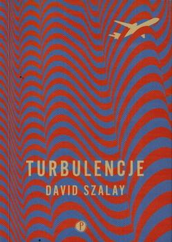 Turbulencje David Szalay