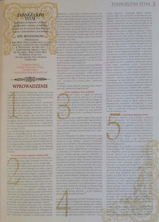 Wielka Encyklopedia Jana Pawła II Tom 41 XLI Encykliki Praca zbiorowa