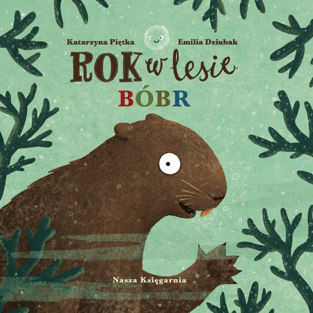 Rok w lesie Bóbr Emilia Dziubak, Katarzyna Piętka