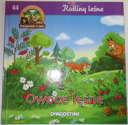 Rośliny leśne Owoce leśne Praca zbiorowa