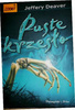 Puste krzesło