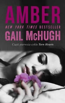 KSIĄŻKA AMBER GAIL MCHUGH