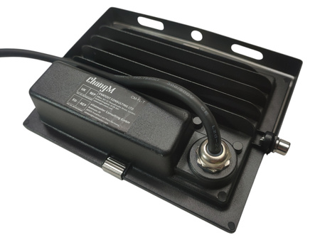 Lampa Reflektor LED RGB BLFL-LFCA 30 W