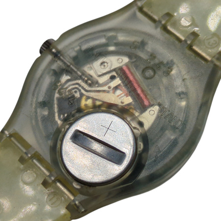 Zegarek UNISEX na pasku Swatch The People GZ126