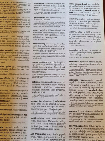 Słownik wyrazów obcych i zwrotów Kopaliński Władysław