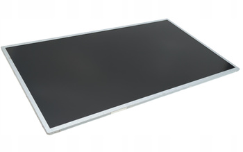 Matryca AU Optronics B173RW01 V.2 17,3" 1600x900px 40pin Matowa