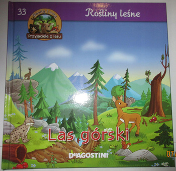 Rośliny leśne Las górski Praca zbiorowa