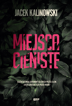 Miejsca cieniste Jacek Kalinowski