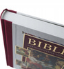 Biblia opowiedziana dzieciom Stary i Nowy Testament Praca zbiorowa
