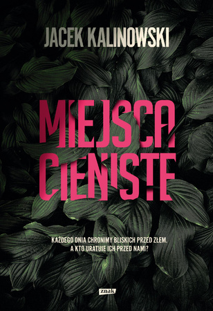 Miejsca cieniste Jacek Kalinowski