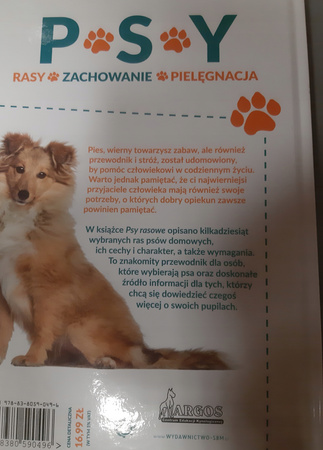 Psy