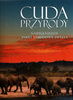 Cuda przyrody