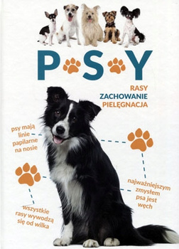 Psy
