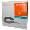 Taśma LED Ledvance Value 600/830/50 27,5W 2620lm 24V 5m 8mm ciepła biel
