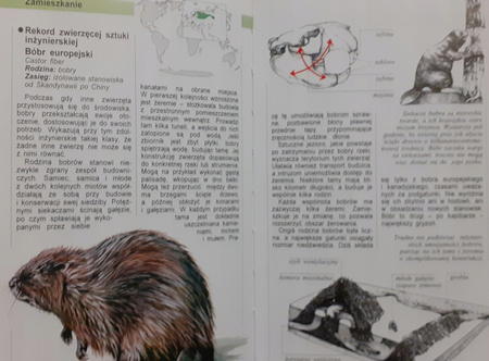 Encyklopedia zwierząt SSAKI Frączek